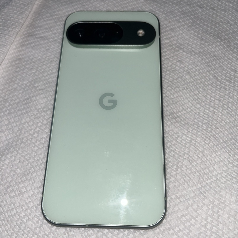 Google Pixel 9 - 128 GB - Wintergreen (Unlocked)